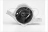 HUTCHINSON 524607 Holder, engine mounting